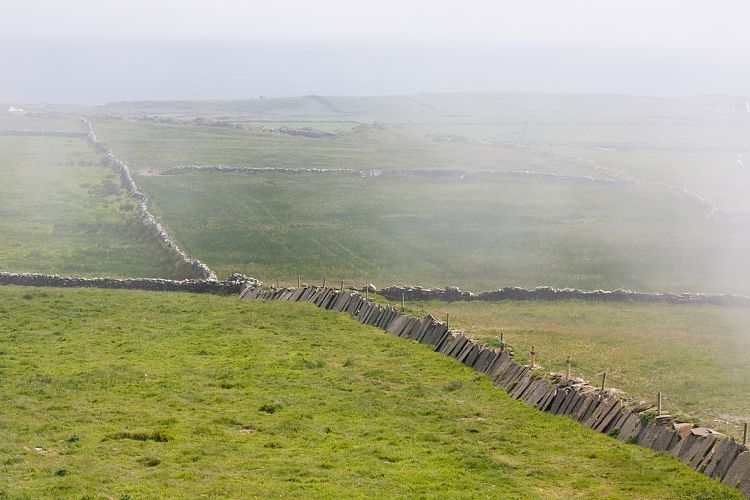 Cliffs of Moher (Irland - The Burren)