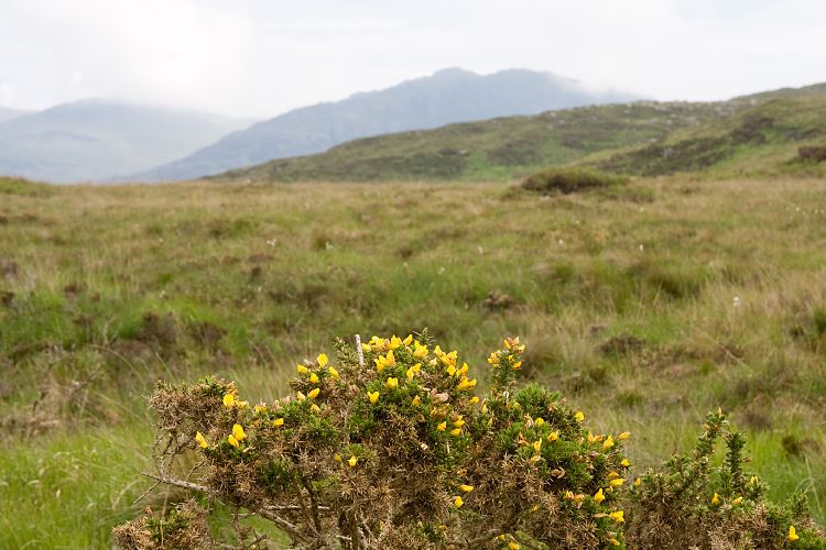 Connemara National Park (Irland - Westport - Ballyvaughn)