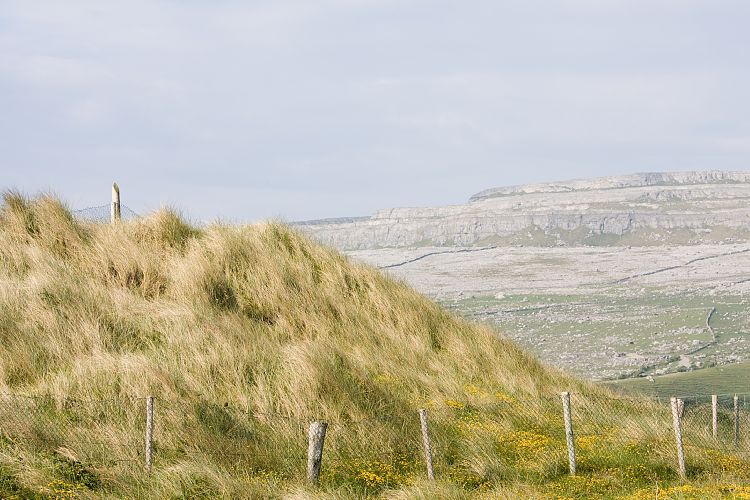 Fanore (Irland - Westport - Ballyvaughn)