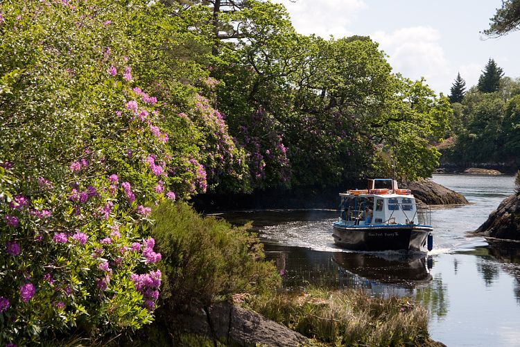 Garinish Garden (Irland - Kenmare  - Cork)