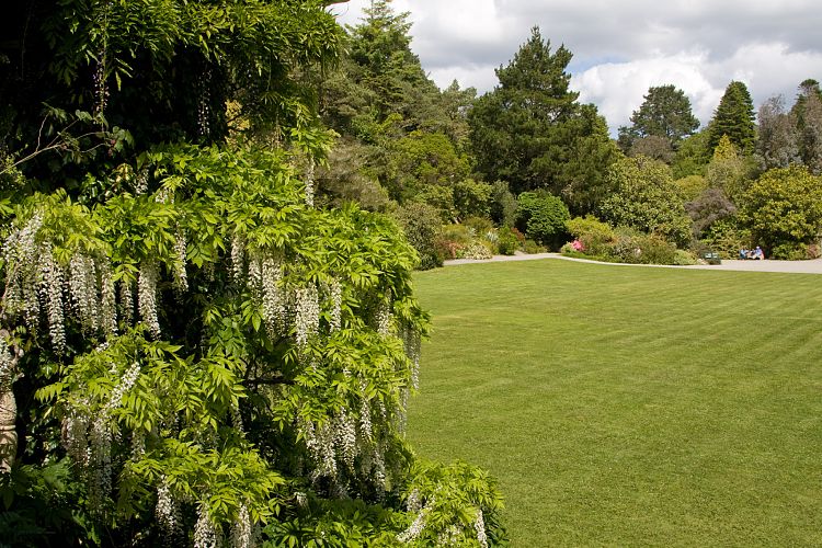 Garinish Garden (Irland - Kenmare  - Cork)