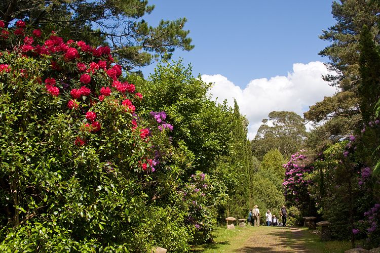 Garinish Garden (Irland - Kenmare  - Cork)
