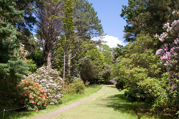 Garinish Garden (Irland - Kenmare  - Cork)