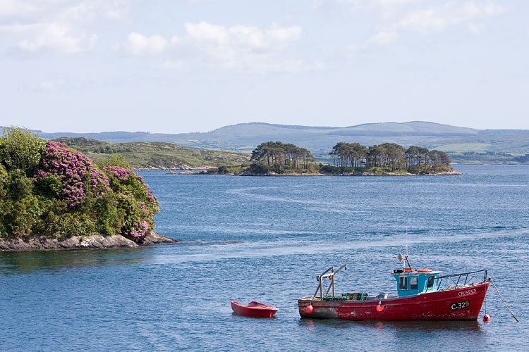 Garinish Garden (Irland - Kenmare  - Cork)