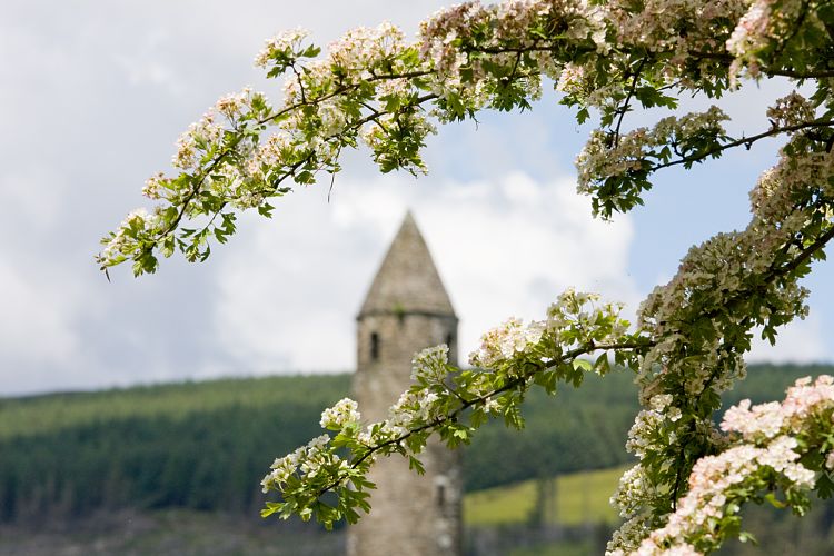 Glendalough (Irland - Kilkenny - Dublin)
