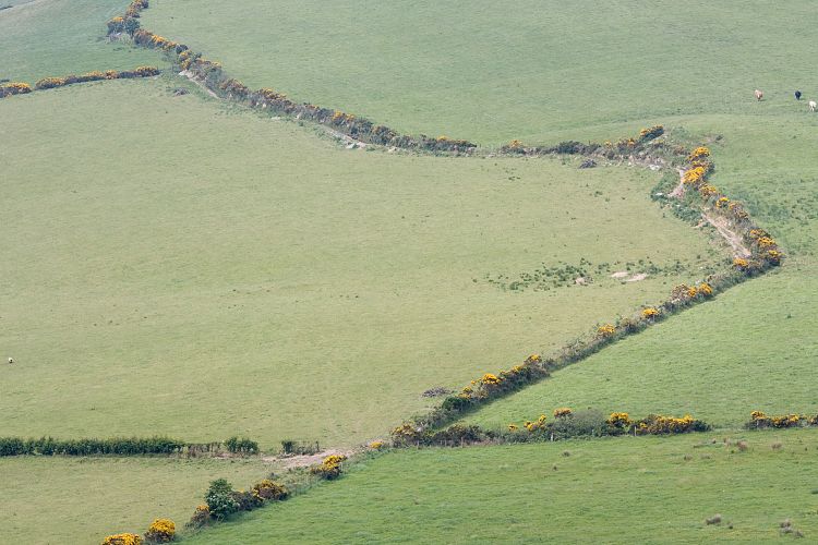 Grianan Ailligh (Irland - Bushmills - Killybegs)