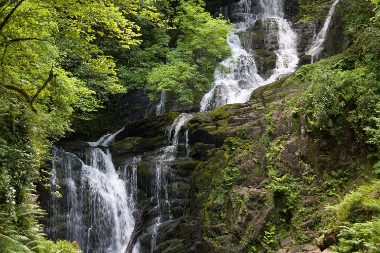 Killarney National Park (Irland - Dingle - Killarney)