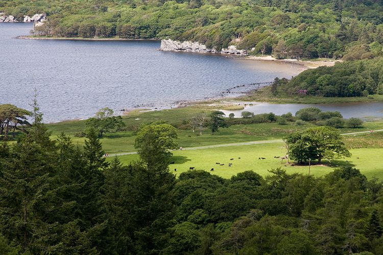 Killarney National Park (Irland - Dingle - Killarney)