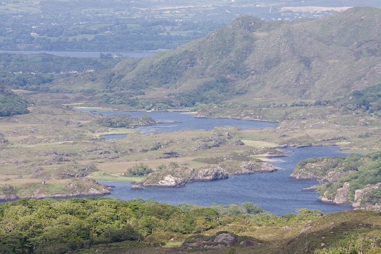 Ladies View (Irland - Killarney - Kenmare)