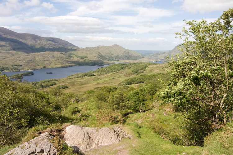 Ladies View (Irland - Killarney - Kenmare)