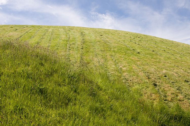 Newgrange (Irland - Trim - Larne)