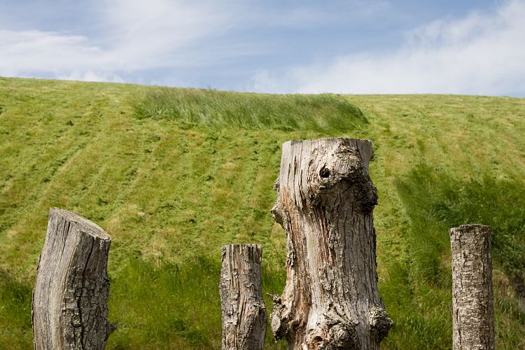 Newgrange (Irland - Trim - Larne)
