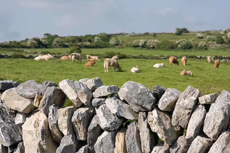 Poulnabrone Dolmen (Irland - The Burren)