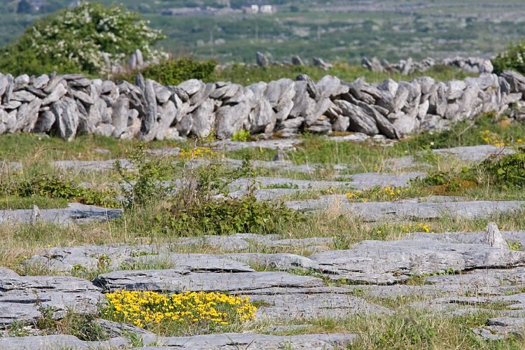 Poulnabrone Dolmen (Irland - The Burren)