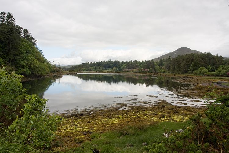 Ring of Beara (Irland - Kenmare  - Cork)