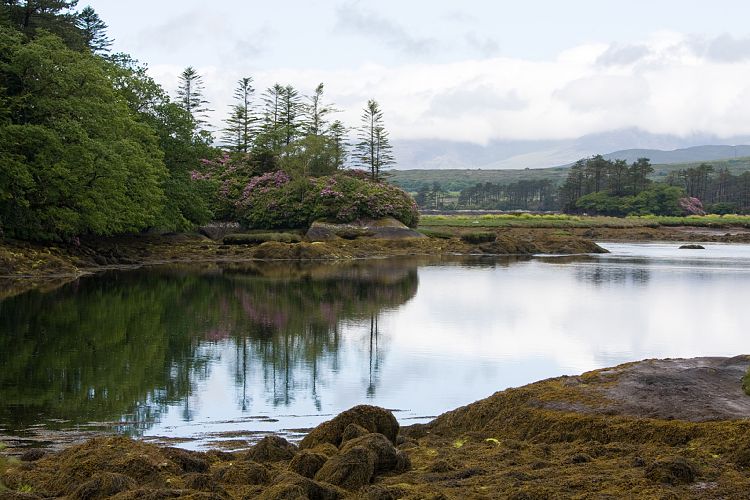 Ring of Beara (Irland - Kenmare  - Cork)