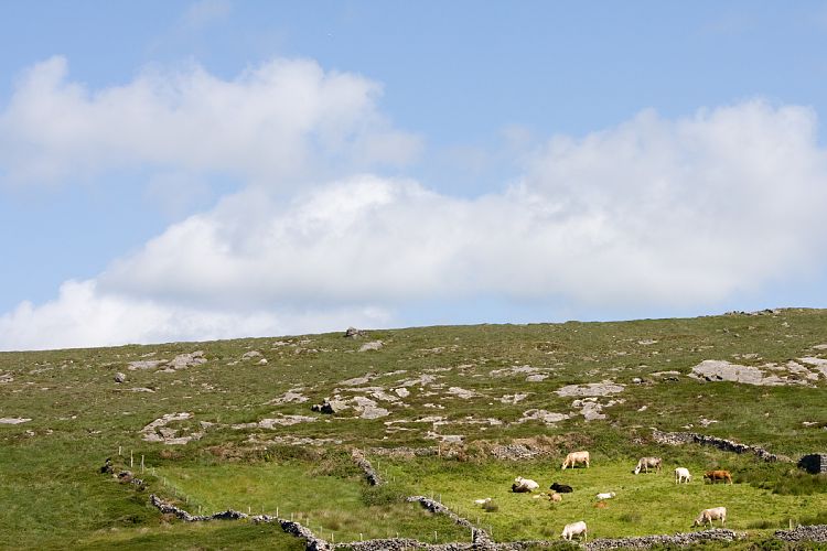 Ring of Beara (Irland - Kenmare  - Cork)