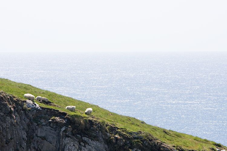 Ring of Beara (Irland - Kenmare  - Cork)