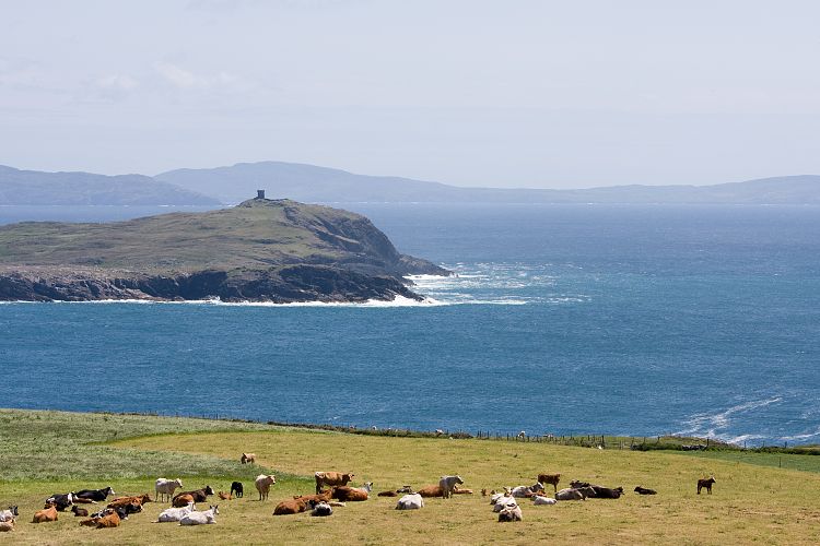 Ring of Beara (Irland - Kenmare  - Cork)