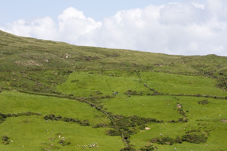 Ring of Beara (Irland - Kenmare  - Cork)