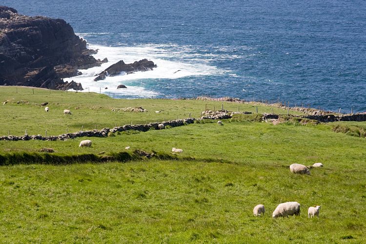Ring of Skellig (Irland - Killarney - Kenmare)