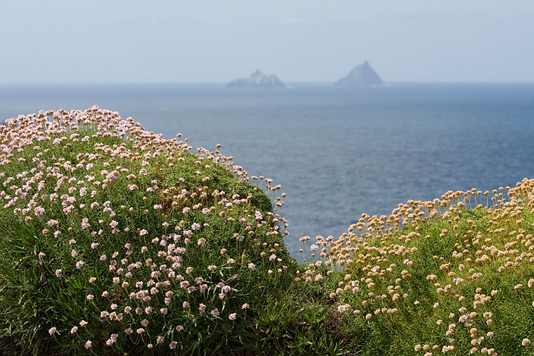 Ring of Skellig (Irland - Killarney - Kenmare)
