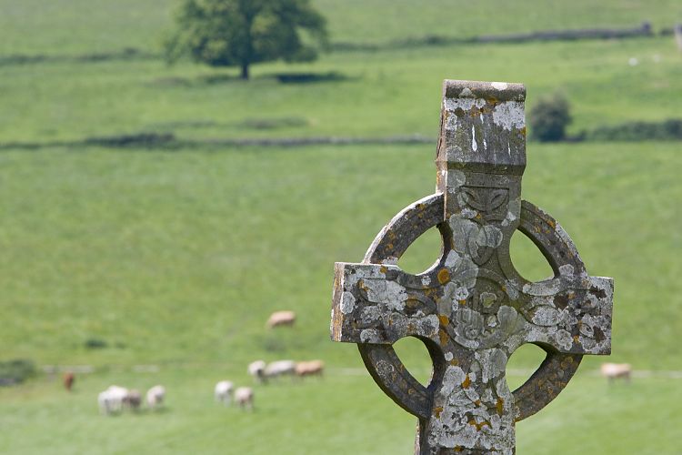 Rock of Cashel (Irland - Cork - Kilkenny)