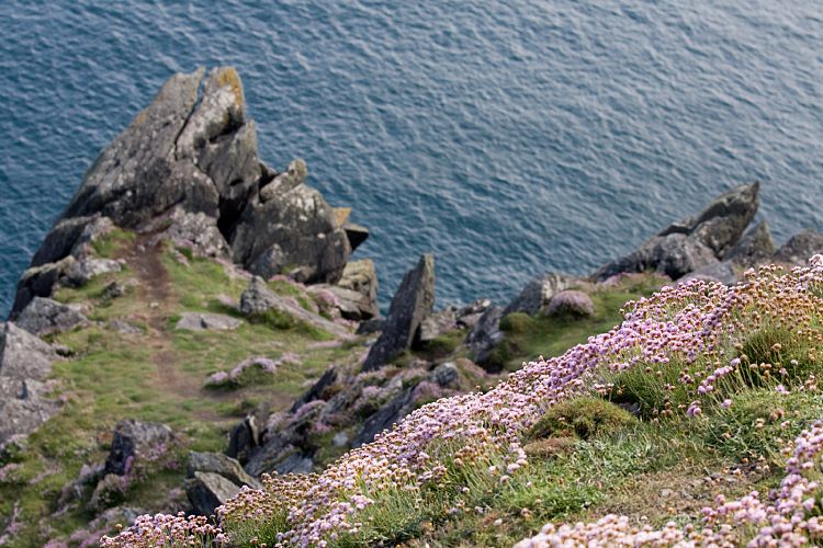 Slea Head Drive (Irland - Ballyvaughn - Dingle)