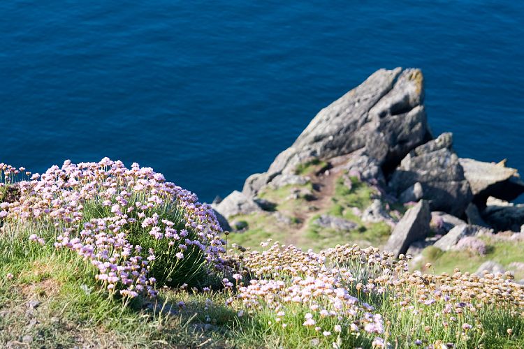 Slea Head Drive (Irland - Dingle - Killarney)
