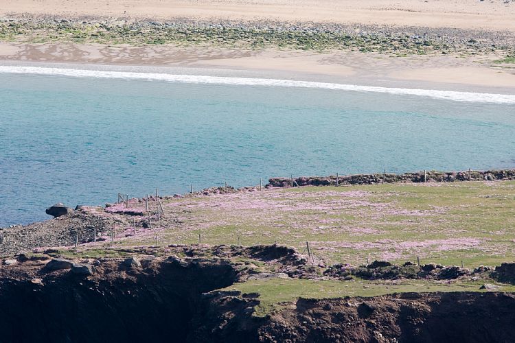 Slea Head Drive (Irland - Dingle - Killarney)