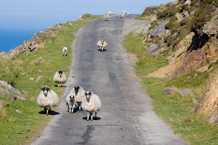 Slieve League Bunglass Point (Irland - Killybegs - Westport)