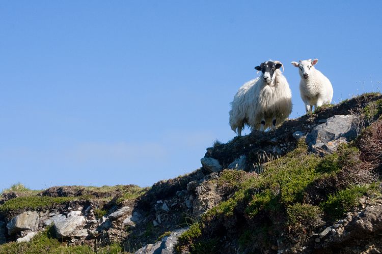 Slieve League Bunglass Point (Irland - Killybegs - Westport)
