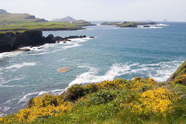 Valentia Island (Irland - Killarney - Kenmare)