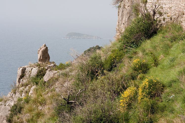 Amalfitana (Italien - Amalfitana)