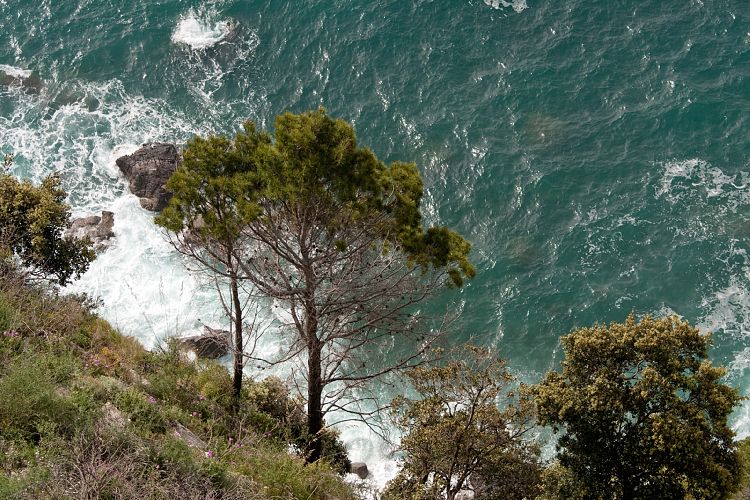 Amalfitana (Italien - Amalfitana)