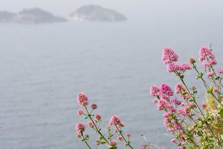 Amalfitana (Italien - Amalfitana)