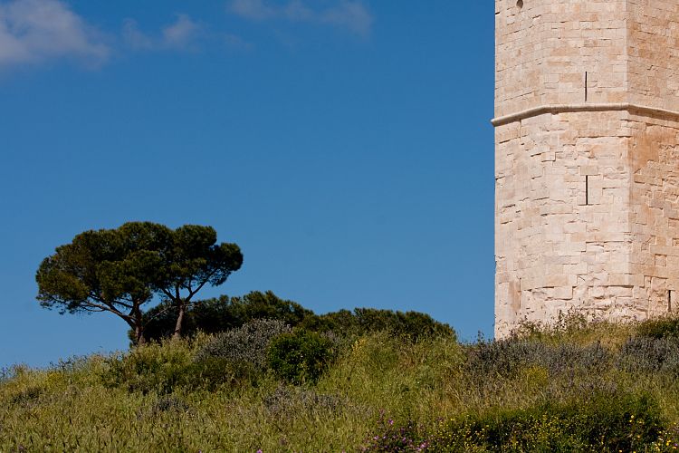 Castel del Monte (Italien - Barletta - Vieste)