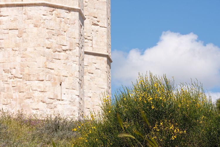 Castel del Monte (Italien - Barletta - Vieste)