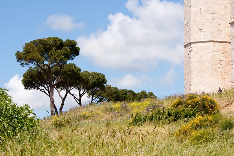 Castel del Monte (Italien - Barletta - Vieste)