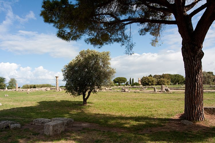 Paestum (Italien - Paestum & Matera)