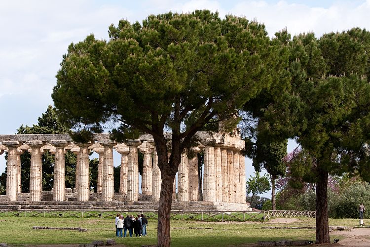 Paestum (Italien - Paestum & Matera)