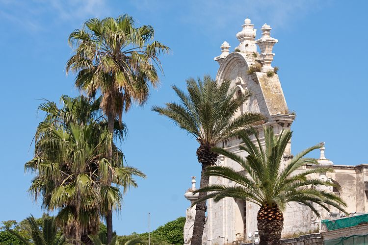 Trani * Chiesa de Santo Domenico (Italien - Lecce - Barletta )