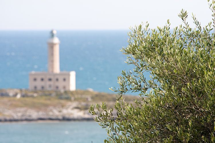 Vieste (Italien - Vieste - Loreto)
