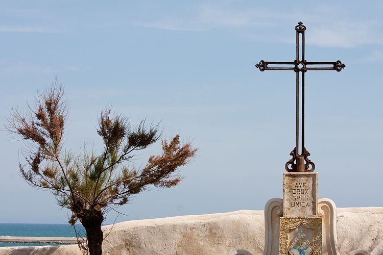 Vieste (Italien - Vieste - Loreto)