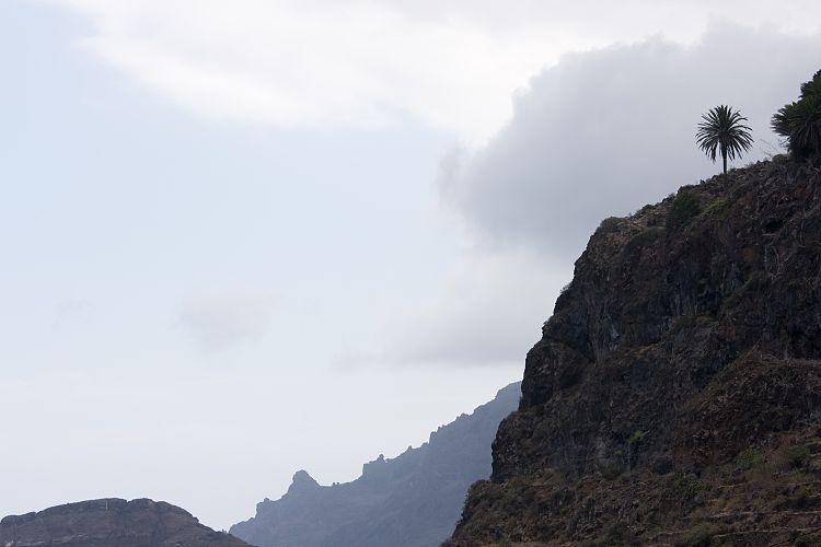 Agulo (La Gomera - 20081016)