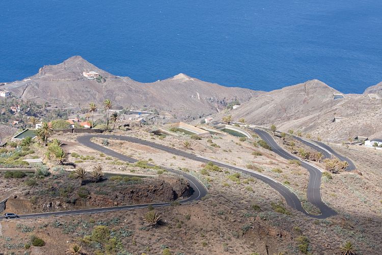 Alojera (La Gomera - 20081015)