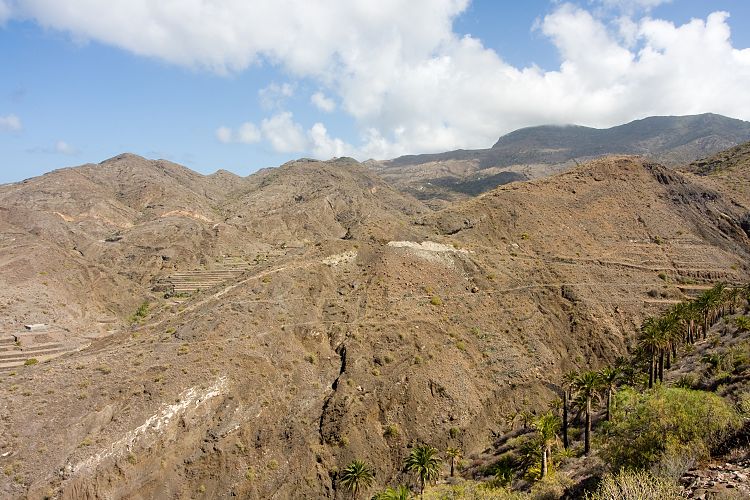 Alojera (La Gomera - 20081015)