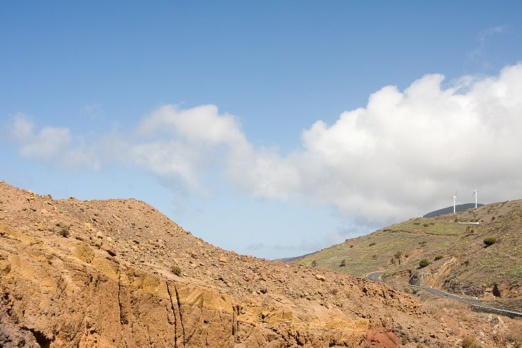 Alojera (La Gomera - 20081015)