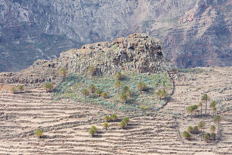Bei San Sebastian (La Gomera - 20081018)