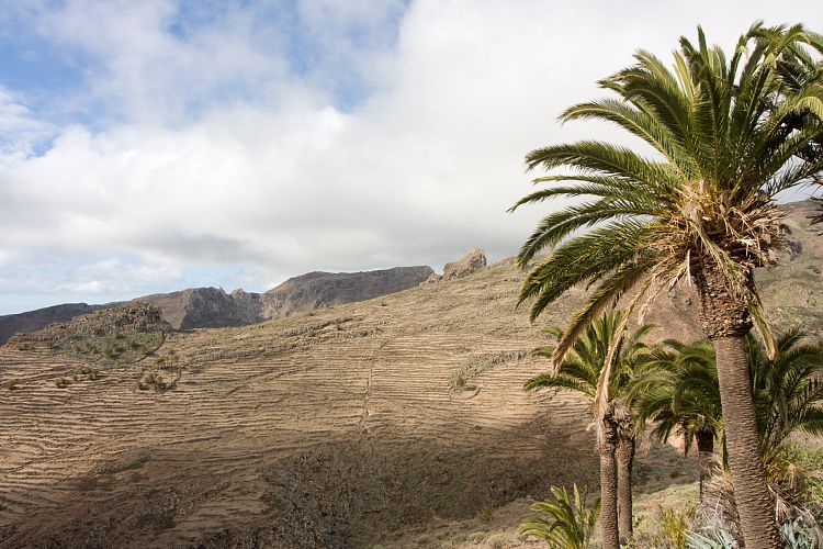 Bei San Sebastian (La Gomera - 20081018)